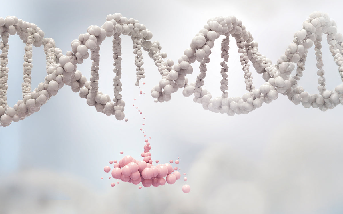 ¿Heredás tu salud o la construís? La verdad sobre tus genes