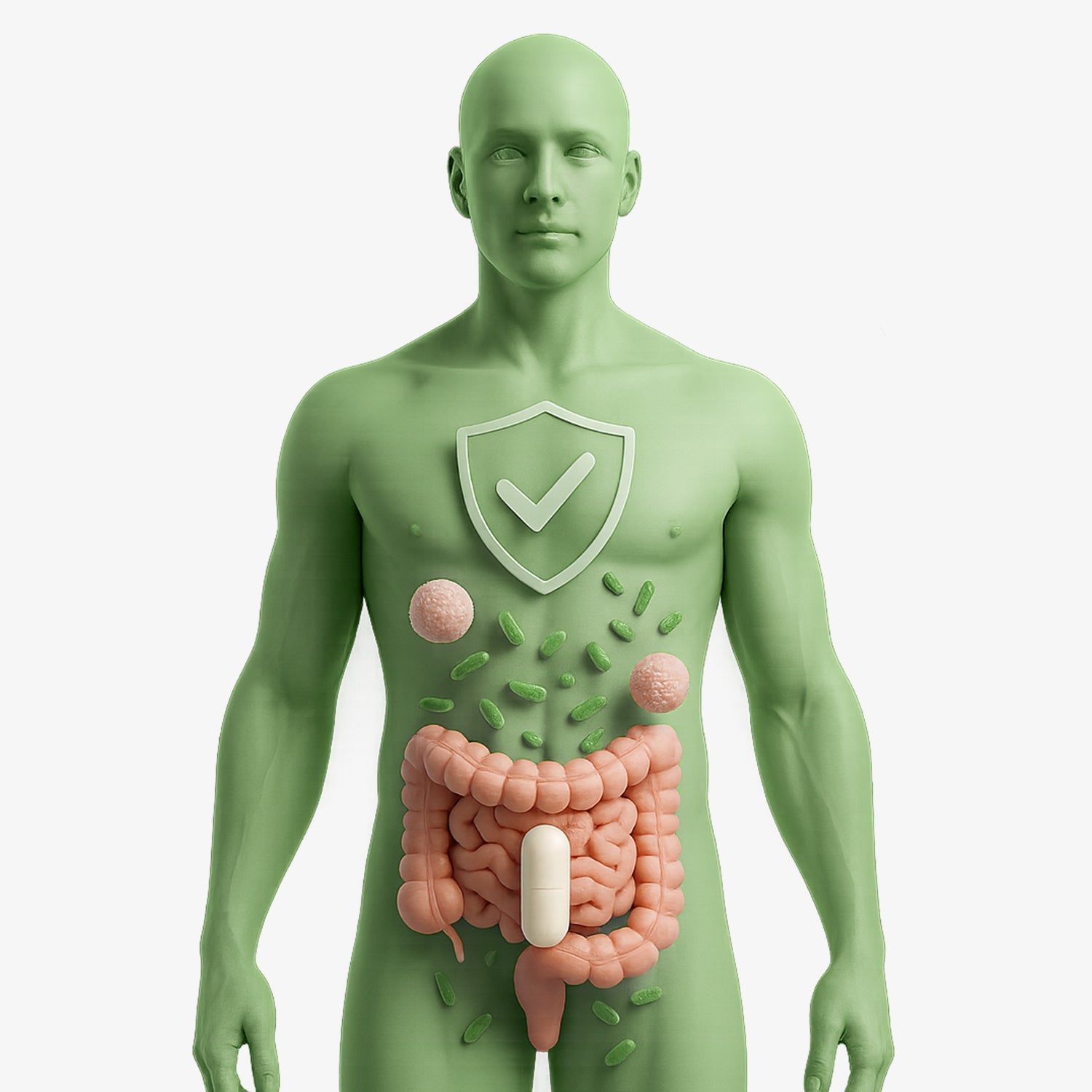 Día de la Microbiota: la importancia de entender tu salud de manera completa
