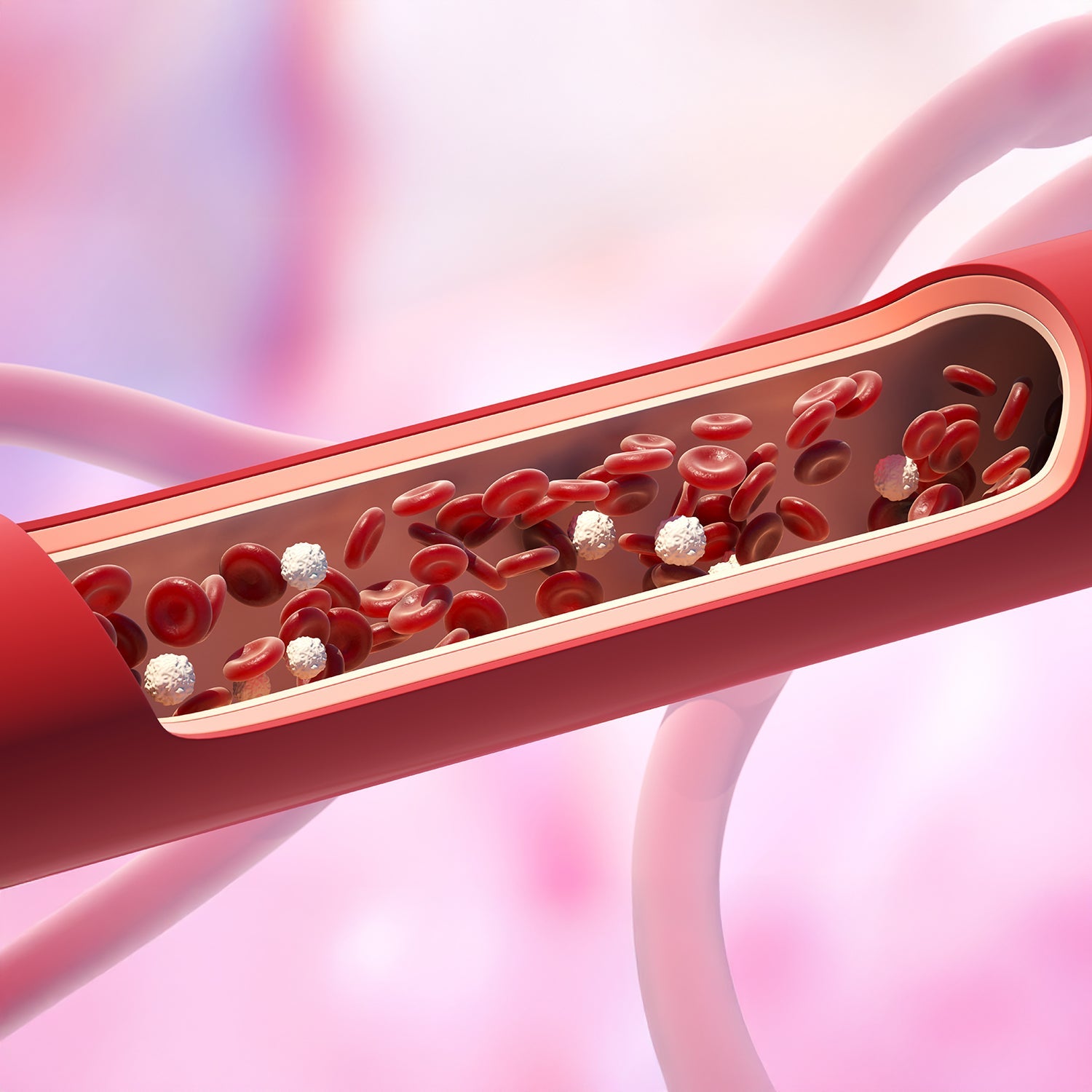 Colesterol ¿un aliado de la salud poco comprendido?