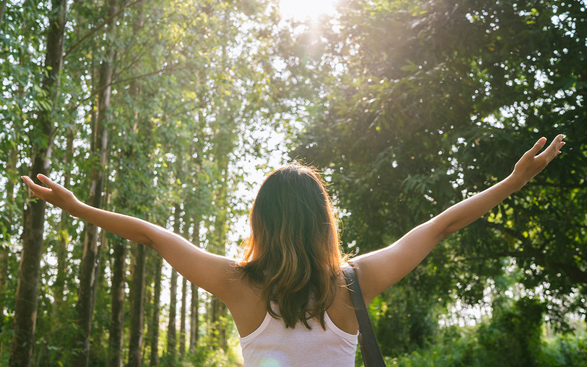 Detox y drenaje: la clave para una salud renovada con la línea Heel