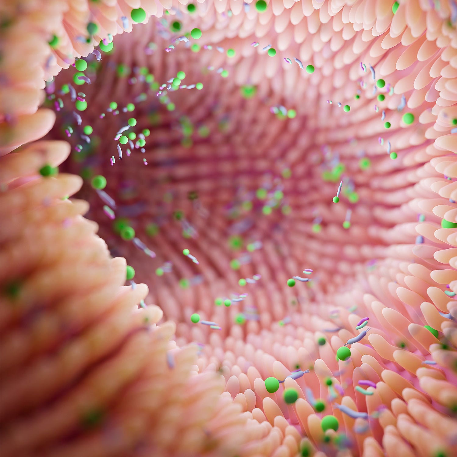 Análisis de microbiota intestinal: lo que tenés que saber