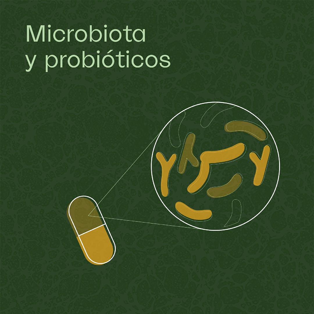 Microbiota y Probióticos