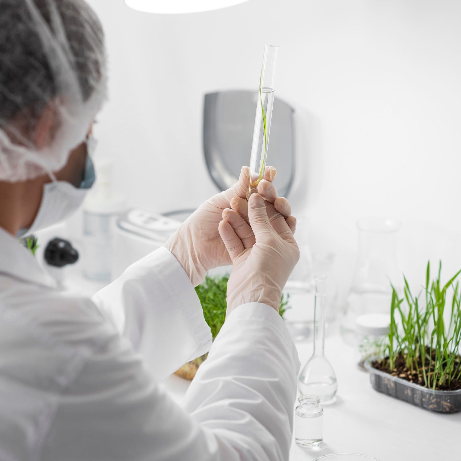 Medicina Biorreguladora de sistemas (BrSM) y su importancia en la detoxificación